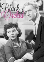 Black Orchid [1953] [DVD]