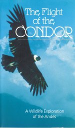Flight of the Condor [1985] [DVD]
