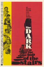 The Dark at the Top of the Stairs [1960] [DVD]