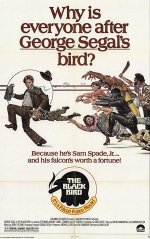 The Black Bird [1975] [DVD]