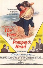 The View from Pompey's Head [1955] [DVD]
